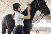 How to Become the Black Horse